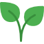 Vegan